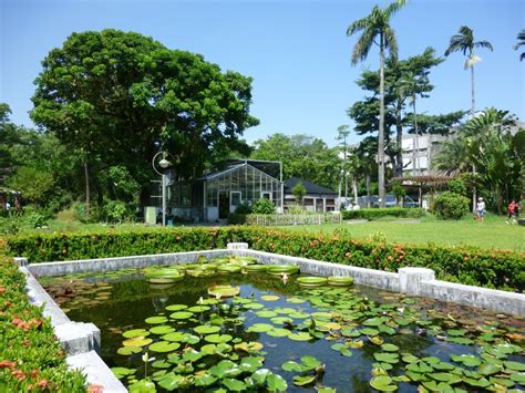 植物介紹|台北植物園簡介